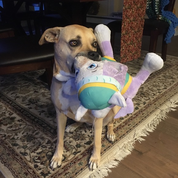 Meet your Posher, Tati - Picture 8 of 10